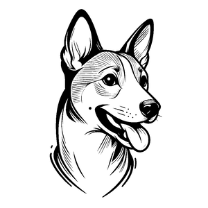Opcja produktu