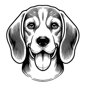 Opcja produktu