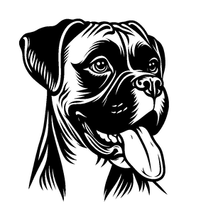 Opcja produktu