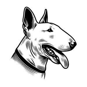 Opcja produktu