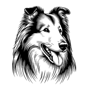 Opcja produktu