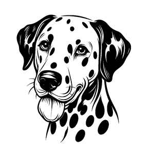 Opcja produktu