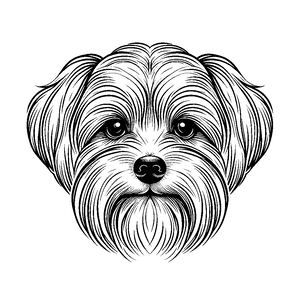 Opcja produktu