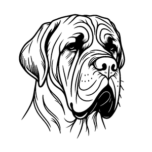 Opcja produktu