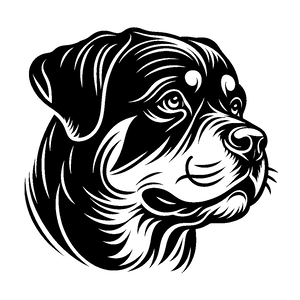 Opcja produktu