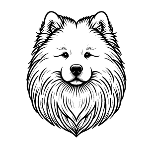 Opcja produktu