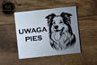 Tabliczka Uwaga Pies (Różne Rasy) (4)