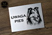 Tabliczka Uwaga Pies (Różne Rasy) (5)